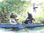 willows_featured